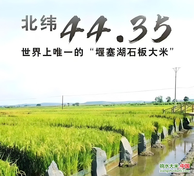 响水大米网