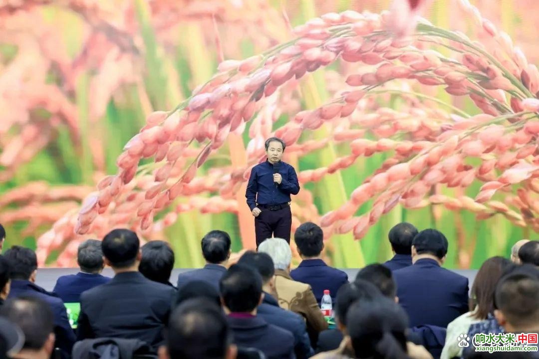 响水大米网