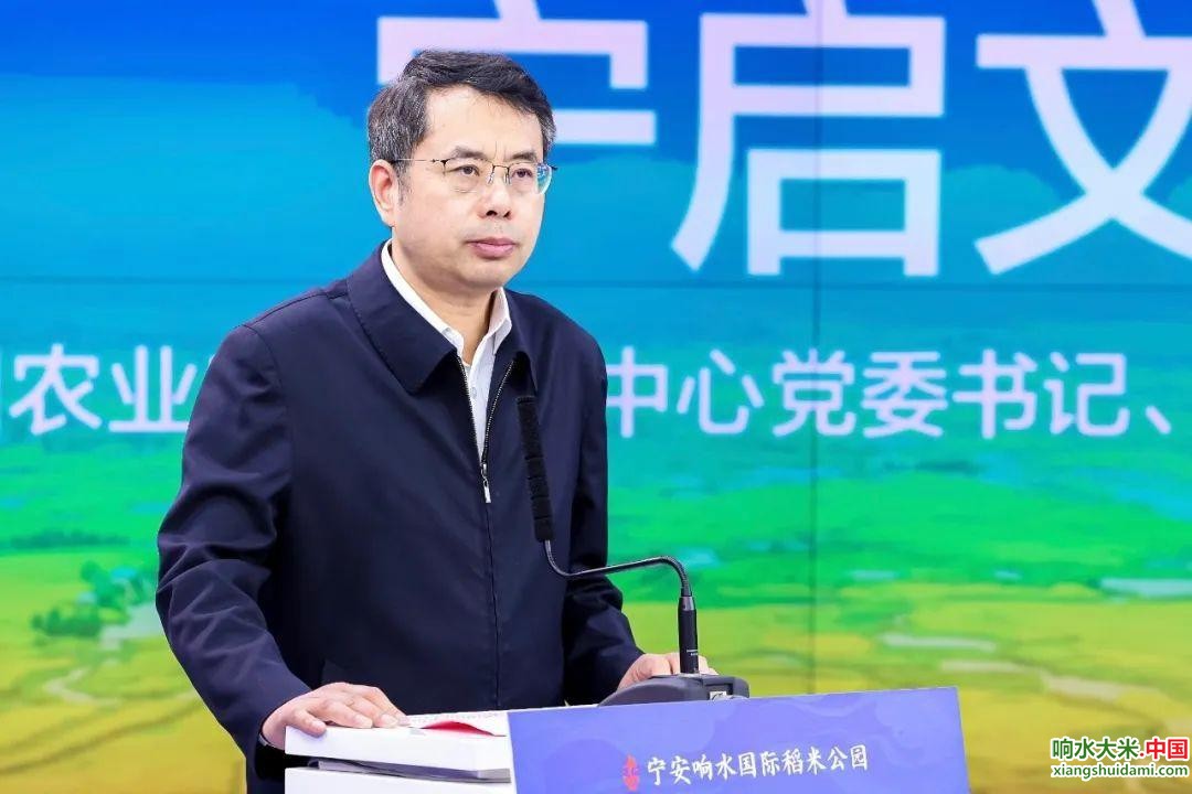 响水大米网