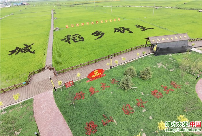 响水大米网