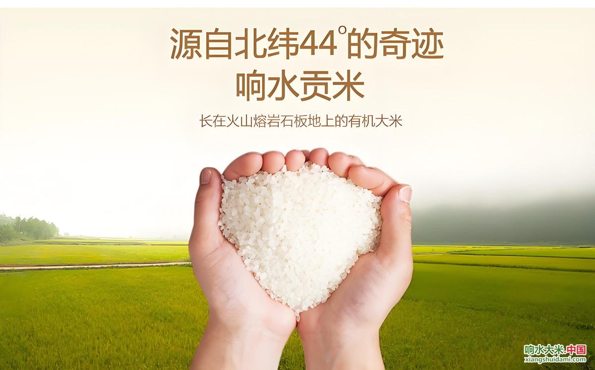 响水大米网