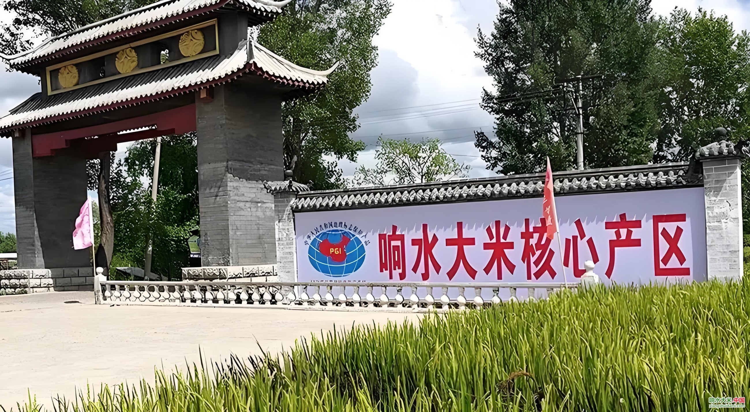 响水大米网
