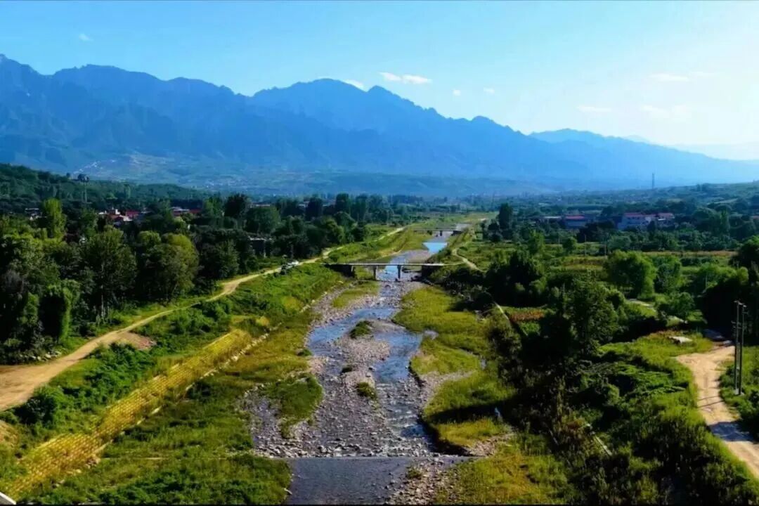 响水大米网 图片