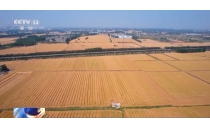 今年全国粮食产量1.43万亿斤比上年增长1.2%。在去年首次迈上1.4万亿斤新台阶的高基点上再创新高