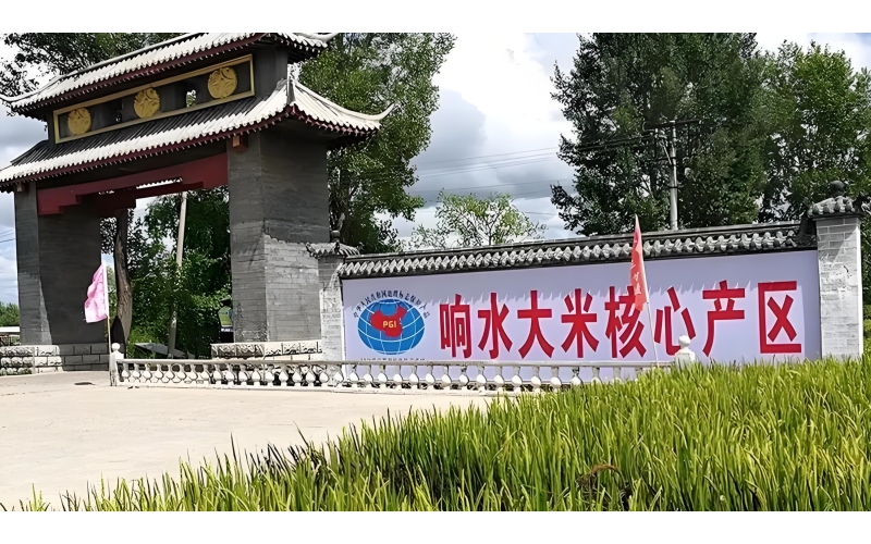 视频 市（地）亮点工作 - “响水大米”+文旅 构建产业融合发展新格局