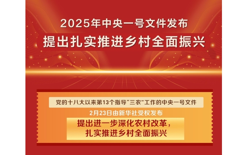 2025年中央一号文件（全文）——中共中央 国务院关于进一步深化农村改革 扎实推进乡村全面振兴的意见