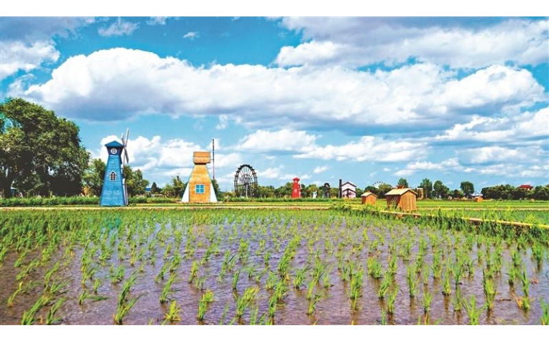 宁安 响水·国际稻米公园打造农业产业新格局