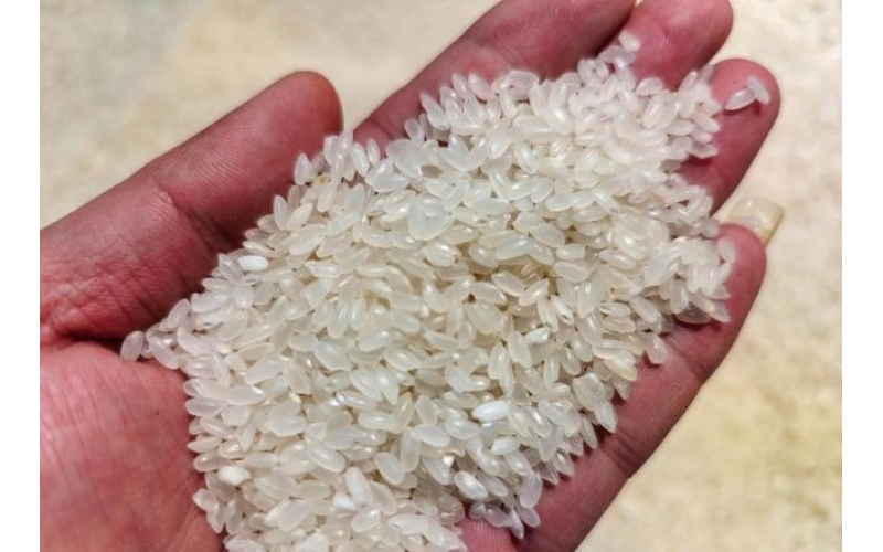 响水大米、尔滨澡堂、镜泊湖瀑布跳水&hellip;&hellip;黑龙江的火，不止在冬天